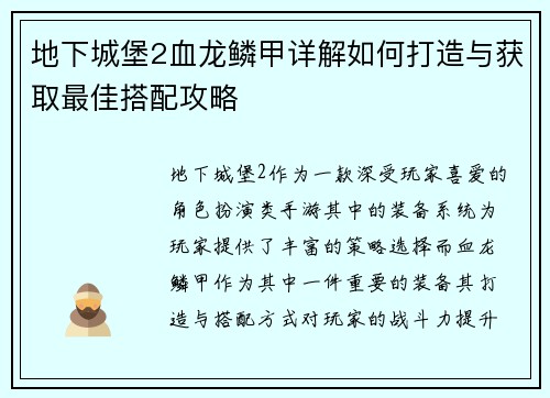 地下城堡2血龙鳞甲详解如何打造与获取最佳搭配攻略